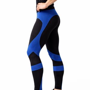 Leggings de sport classiques bicolores pour hommes avec taille élastique pour l'entraînement, le fitness, la course à pied et la gym - Vêtements de sport modernes - Product Image 5
