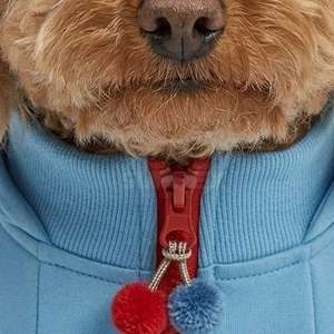 Conjunto Deportivo para Mascotas de Invierno, Cómodo, Ecológico, de Alta Calidad, Suave y Cálido, Estilo Atlético para Cachorros Pequeños, Ropa de Poliéster - Product Image 3