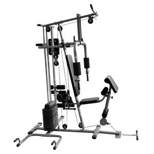 Multi-funzionale Home Gym 143.3lb capacità di stazione multifunzione - Product Image 4