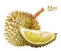 Durianpulp, hoge exportkwaliteit, verse Thaise Monthong, gouden vruchtvlees, natuurlijke zoete smaak, premium diepvries, 500g, 14 dagen houdbaarheid