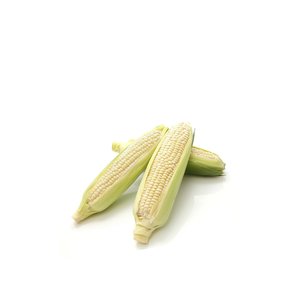 Maïs Blanc Abordable pour la Vente au Détail, les Achats en Gros et la Production Alimentaire - Product Image 2