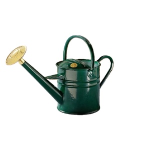Admirable Design Metal Indoor and Outdoor Plants Watering <b>Cane</b> Handmade Tabletop Galvanized Finished Planter Holders - Product Image 2