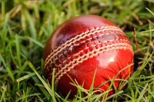 Pelota de Cricket Deportiva Clásica Ligera de Cuero Rojo de 4 Piezas, Diseño Personalizado, Colores con Logotipo para Entrenamiento Profesional y Equipos - Product Image 3