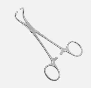 OFERTA ESPECIAL: Pinza para Toallas Quirúrgicas Veterinarias y Dentales GORAYA GERMAN Backhaus, Manual, de Acero Inoxidable, Uso Profesional, CE ISO - Product Image 4