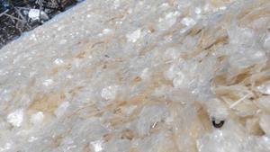 Écailles de poisson séchées en gros | Source de collagène en vrac | Écailles de poisson de qualité supérieure du Vietnam - Product Image 6