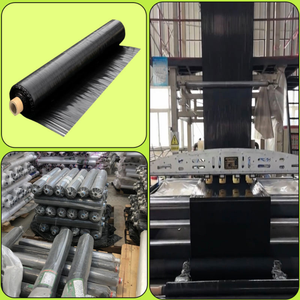 Rollo de película de mantillo de PE personalizado de 0,01-0,20mm de espesor para agricultura para protección contra la humedad OEM ODM proveedor de Vietnam - Product Image 5