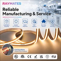 Raymates Bande LED COB Flexible à Découpe Libre 528 LED/m DC12V 8mm CRI 90+ Certifiée CE Puces LED COB Lumière LED Sans Points Découpable N'importe Où