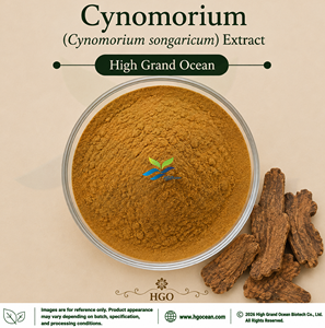 โรงงาน HGO จัดจำหน่ายโดยตรง สารสกัดจากไซโนโมเรียม (Cynomorium songaricum) (เกรดอาหาร)  ค่าสเปค 4:1 5:1 10:1 20:1 100:1 200:1 - Product Image 1