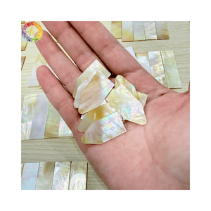 Eco Friendly Mother of Pearl Pieces Genuine Colorful <b>Abalone</b> <b>Shell</b> Flakes for Nail Art and Resin Craft Fillers - Product Image 2