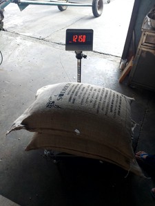 Grano de café Robusta verde puro 100% natural de grado premium tostado de alta calidad y empaquetado en bolsa al mejor precio suministro de fábrica - Product Image 5