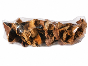 AQUA VRIKSHA Capsules de lotus sauvage séchées naturelles de qualité supérieure pour aquarium, bassin à poissons Betta, bassin à crevettes et aquascaping | 9-11 cm | Lot de 10 - Product Image 1
