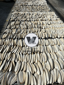 Hueso de Sepia Natural de 6cm o más, el Más Vendido, para Aves, Loros, Juguete Masticable para Animales, Venta al por Mayor - Product Image 6