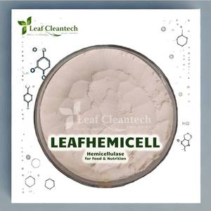 Polvo de enzima alimentaria de hemicelulasa Premium fabricado por Nutrition Products Company, suministro a granel de Bangalore-Karnataka India - Product Image 1