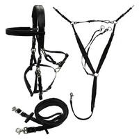 SPALL JP SPORTS Ensemble complet d'équipement d'endurance équine en cuir véritable et nylon durable, personnalisable, incluant les bridons, la sellerie et les accessoires.