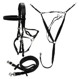 Ensemble complet d'équipement d'endurance équestre en cuir, comprenant des haltères en PVC et du nylon, et une bride de style équestre - Product Image 4