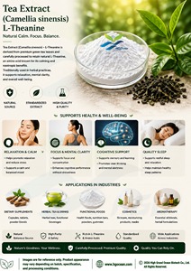 โรงงาน HGO จัดจำหน่ายสารสกัดชาบริสุทธิ์จากธรรมชาติ (Camellia sinensis) เกรดอาหาร L-Theanine 80% สารสกัดมาตรฐาน - Product Image 3