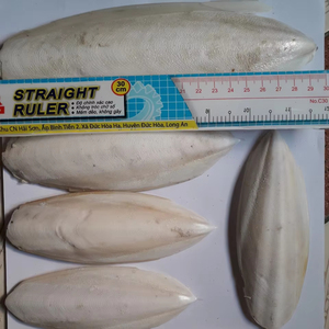 ผงกระดูกปลาหมึกธรรมชาติสำหรับนก อาหารเสริมแคลเซียมสูง ผู้จัดจำหน่ายและผู้ค้าสำหรับอุตสาหกรรมสัตว์เลี้ยง 22 - Product Image 1