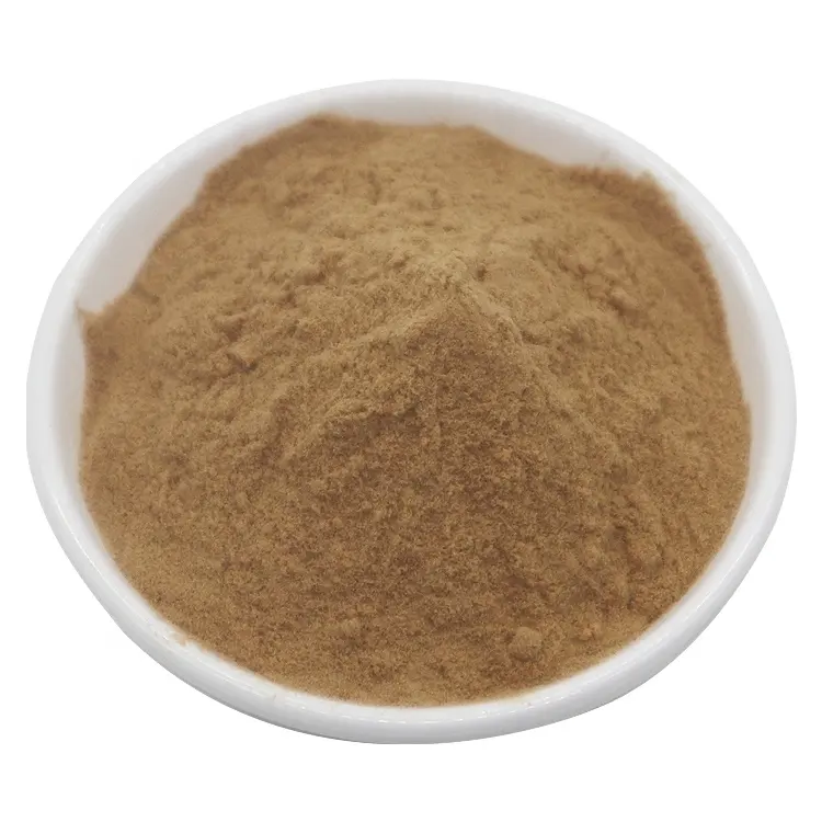 Top Quality Organic Natural Powder Lions Mane Mushroom Extract