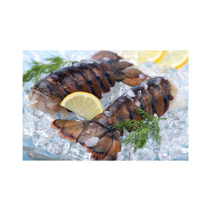 หางกุ้งล็อบสเตอร์แช่แข็งขายส่ง ราคาถูก จัดส่งจำนวนมาก หางกุ้งล็อบสเตอร์สดแช่แข็ง - Product Image 5