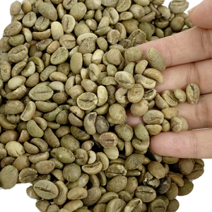 Café crudo de Vietnam Robusta S18, proceso natural secado al sol de grado limpio, precio al por mayor, marca personalizada disponible - Product Image 1