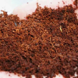 Fibres de coco de haute qualité du Vietnam à prix économique pour la fabrication de cordes en fibre de coco, serres agricoles multi-chapelles et couvertures en film. - Product Image 1