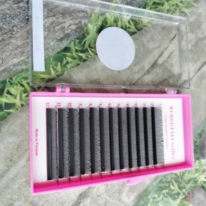 Pestañas Postizas Nhu Y Coreanas de PBT de Alta Calidad, Extensiones de Pestañas de 6mm-15mm, PESTAÑAS W-YY, YY 3DW 4DW 5D 6D 8DW - Product Image 4