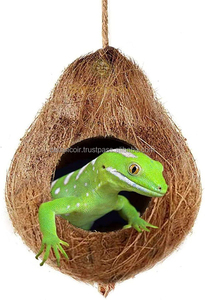 Caches en coquille de noix de coco 100 % écologiques au design moderne pour petits reptiles et amphibiens, idéales pour l'ajout au terrarium, sans danger pour les animaux. - Product Image 2