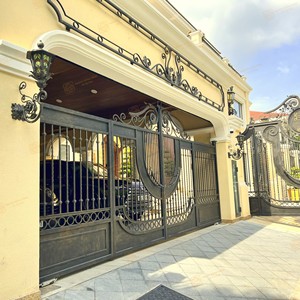 Puertas Dobles de Hierro Forjado Vintage, Puerta de Entrada Antirrobo Forjada a Mano para Patio, Escuela, Villa, Apartamento - Product Image 1