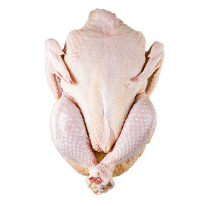 Pollo Halal Congelado de Exportación Premium, Cortes Sin Hueso, Sin Piel, Procesado y Limpio, Carne de Aves Rica en Proteínas para Venta al por Mayor Internacional - Product Image 3