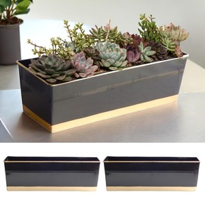 Petits pots pour plantes d'intérieur – Jolis pots décoratifs pour la maison - Product Image 1