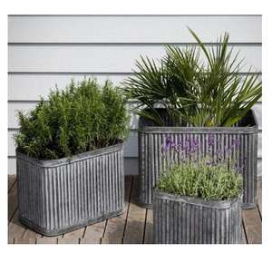 Ensemble de trois pots en zinc galvanisé avec poignée en corde, pots à fleurs vintage, pots en zinc pour la maison et le jardin, pots décoratifs en zinc - Product Image 6