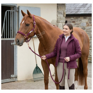 En gros, Nouvelle Arrivée : Ménagères pour chevaux de qualité supérieure, personnalisables, rembourrées, confortables, douces et réglables, avec rembourrage pour le nez et la tête. - Product Image 4