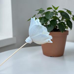 ดอกไม้ไม้โซล่า VADEE SOLA WOOD FLOWER ทำมือ งานฝีมือแบบยั่งยืน คลาสสิก ดอกคาเมลเลียอัลบา ขนาด 8.5 ซม. ก้านทำจากเส้นใยพืชเซสบานีอา - Product Image 5