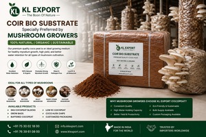 Bloque de Sustrato Biológico de Fibra de Coco KL EXPORT, 11 kg, Medio de Cultivo para Plantas, Alta Aireación y Retención de Agua, Orgánico y Ecológico - Product Image 5