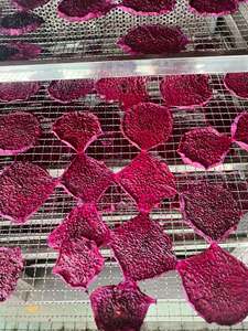 Tiras de Pitaya Roja Seca, Natural, Masticable y Suave, Hechas a Mano, de Alta Calidad, Proveedor al por Mayor - Product Image 4