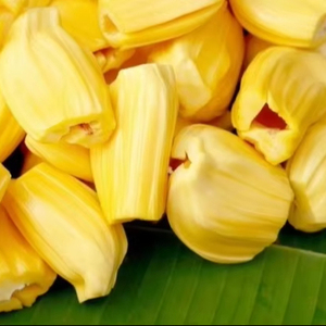 Meilleure Vente : Jackfruit Séché 100% Naturel de la Région de Lam Dong (Vietnam) – Prêt à Consommer, Idéal pour le Thé, le Yaourt, les Desserts, les Confiseries Industrielles et les Céréales - Product Image 1
