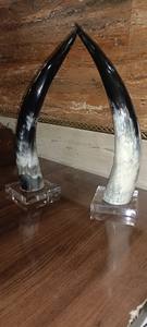 Decoración de cuerno de búfalo, cuerno hecho a mano - Product Image 2