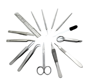 Kit de disección entomológica para estudiantes, herramientas de disección, suministros para insectos y mariposas - Product Image 5