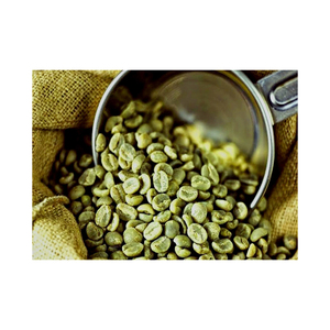 Café vert à effet rapide de haute qualité, marque privée, pour la perte de poids, produit à base de grains de café italien - Product Image 1