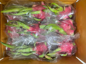 Fruit du Dragon frais Vietnam qualité d'exportation chair blanche et chair rouge disponible longue durée de conservation emballage 4kg 9kg boîte en Carton - Product Image 6