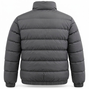 Blouson matelassé gris pour homme, col montant, fermeture éclair, manteau d'hiver chaud, décontracté, streetwear, personnalisable, marque privée - Product Image 2