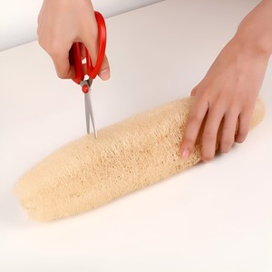Esponja Vegetal Suave y Elástica para Venta al por Mayor, Esponja Vegetal Natural para Baño y Ducha, Hecha en Vietnam - Product Image 2