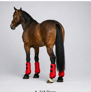 <b>Equestrian</b> Horse Riding Neoprene Medicine Boots Breathable Shock Absorbing Durable Leg Protection OEM Custom Service - Product Image 6