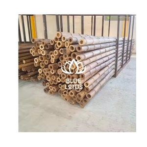 ESTACAS DE BAMBÚ MÁS VENDIDAS, Material Resistente para Soporte de Plantas y Protección de Cercas - Product Image 1