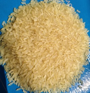 Arroz Blanco Parboiled de Grano Largo No Basmati Seco IR 36, Textura Dura, Mejor Calidad, 24 Meses de Vida Útil, Grado Alimenticio - Product Image 3