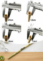 Pailles en bambou DR Premium non emballées 100% naturelles 200mm Biodégradables Compostables Écologiques Réutilisables Longue Durée pour Camping Boissons Chaudes et Froides