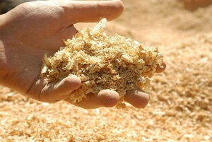 Meilleures ventes : Granulés et poudre de sciure de bois, substrat végétal de haute qualité pour l'agriculture durable - Product Image 3