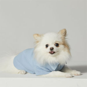 Vêtements de chien bleu ciel de style minimaliste de commande de faible quantité ODM - Product Image 4