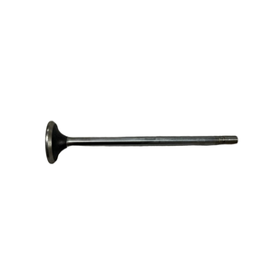 USA Market L10 Engine Intake Exhaust Valve Replacement Parts - Product Image 1