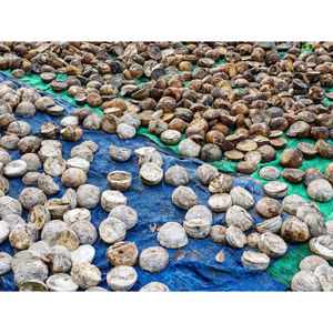 Boules de caoutchouc naturel en latex pour la transformation industrielle et l'exportation de caoutchouc - Product Image 5